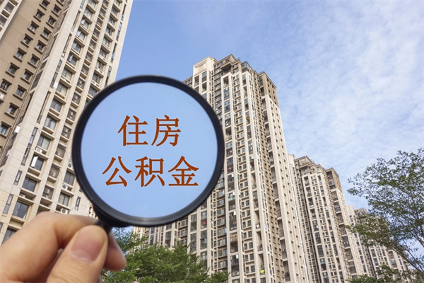 利津个人住房离职公积金如何取（离职住房公积金怎么取）